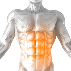 Abs