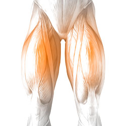 Quads