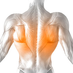 Lats
