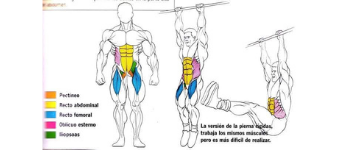 Abdominales