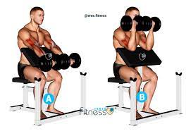 Curl predicador en banco con mancuernas (BÃ­ceps)