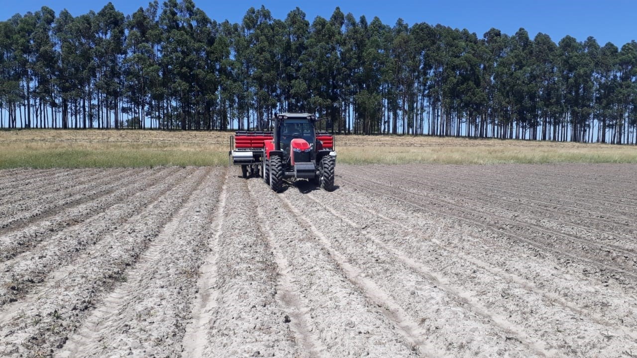 Massey Ferguson contribui com projeto de plantio de soja em terras baixas