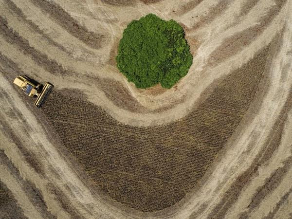 Prêmio New Holland de Fotojornalismo inicia exposição itinerante