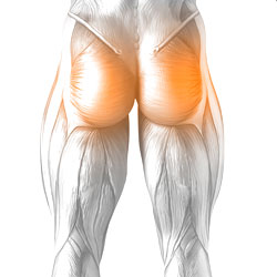 Glutes