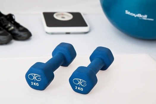 Physiotherapists