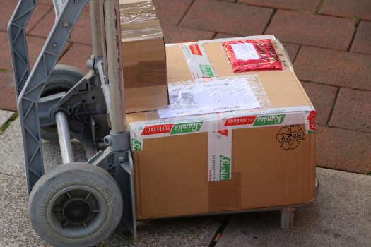 Courier Services