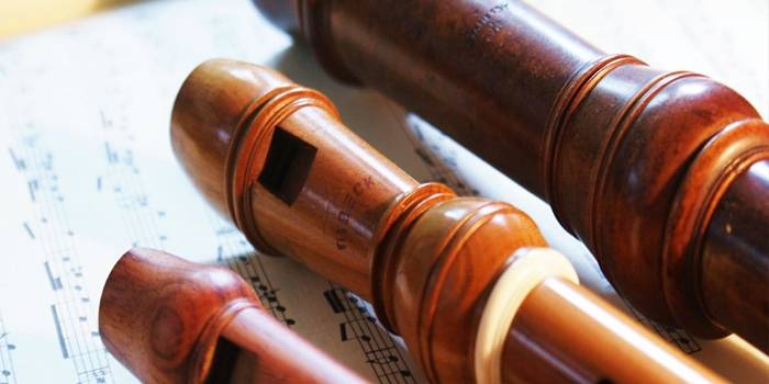 Syker Blockflötenorchester