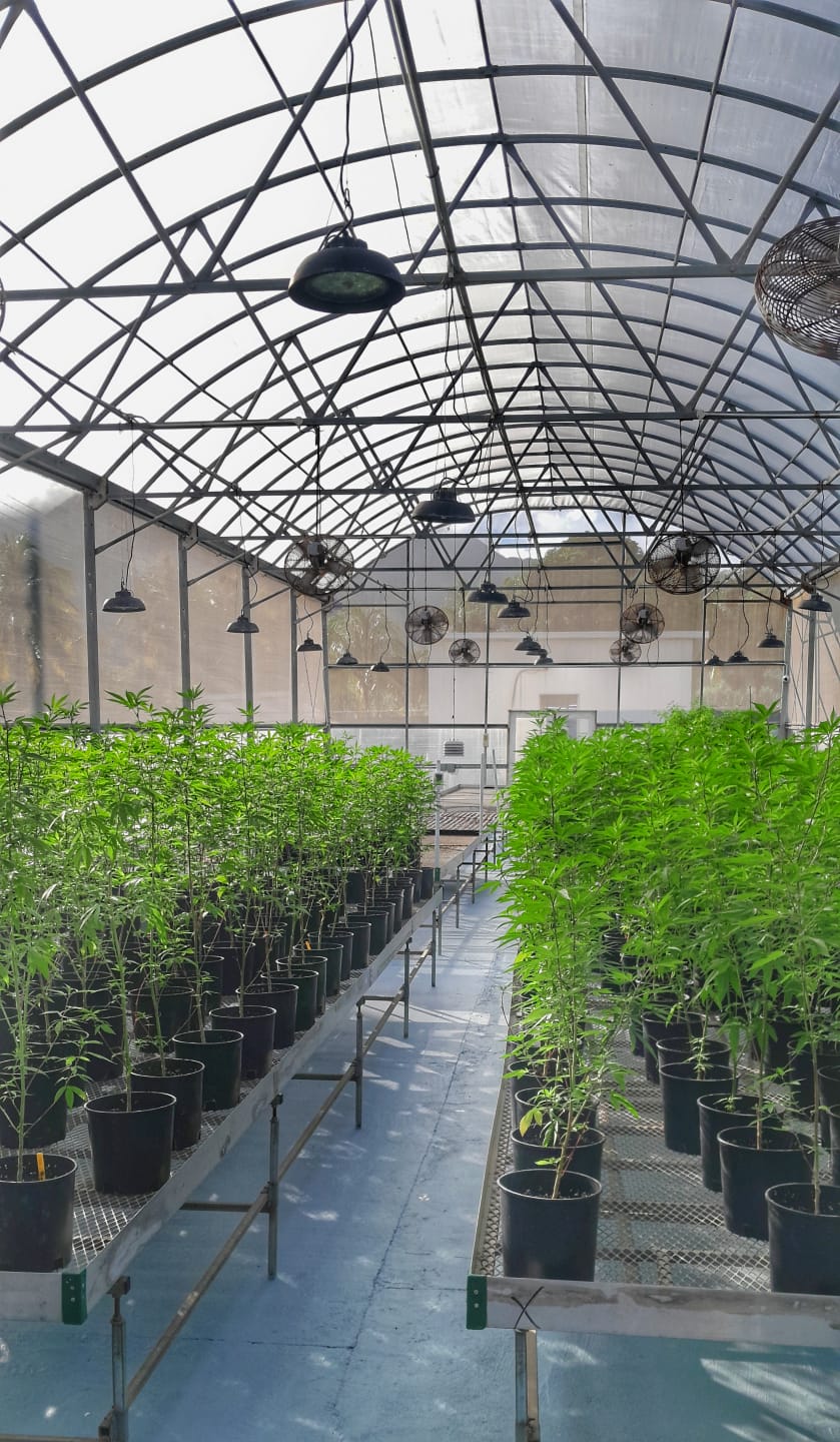 WhatsApp-Image-2025-08-21-at-08-15-43-c1f4c0ac