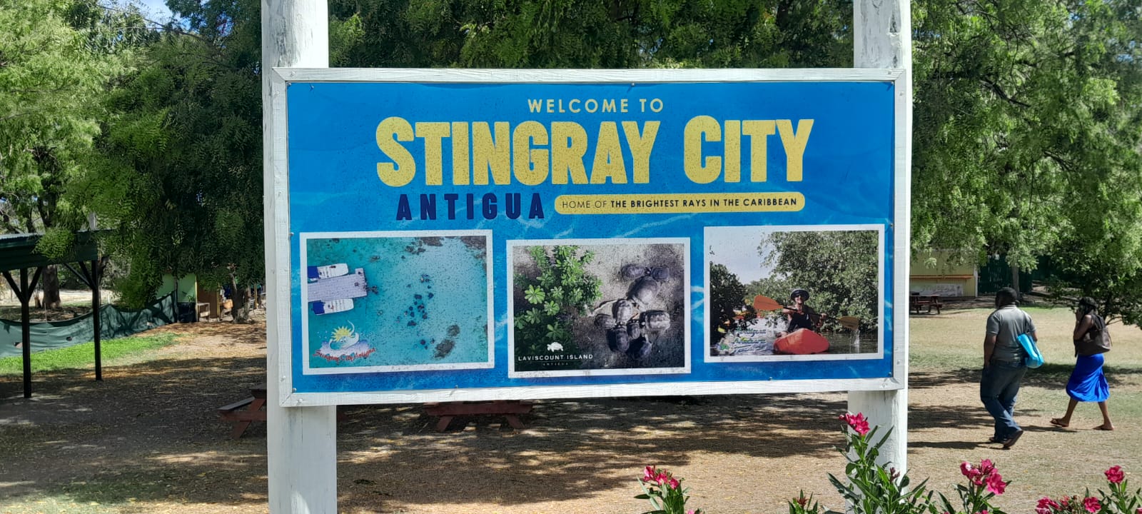 WhatsApp-Image-2025-08-21-at-09-55-53-df3ccea5