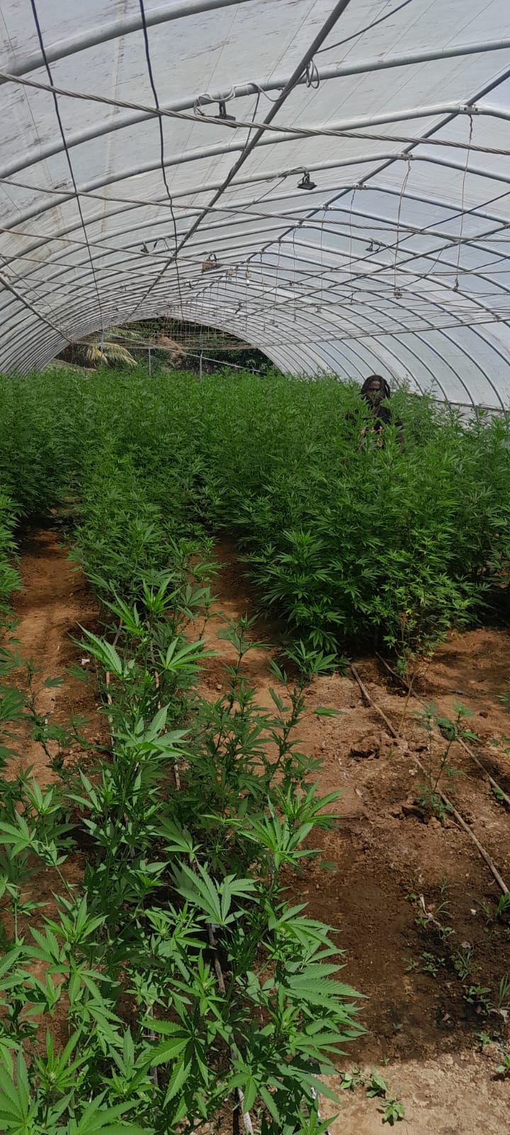 WhatsApp-Image-2025-10-07-at-07-57-55-08456765