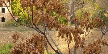 test1