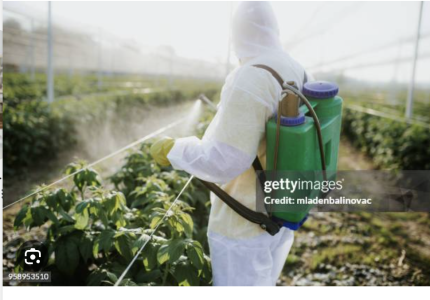 Pest Control
