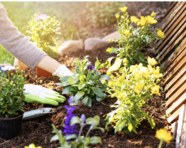 Gardening