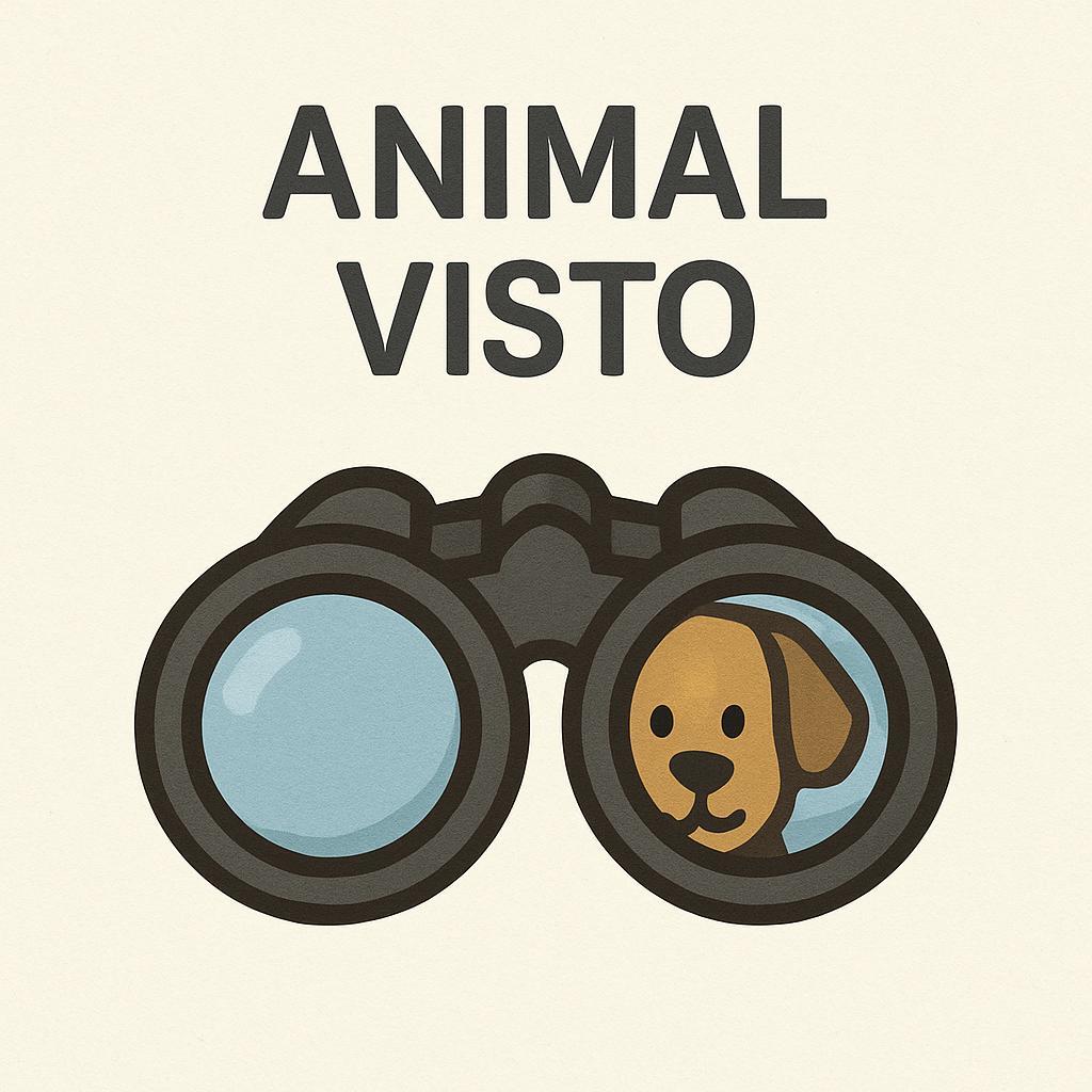 ‎HE VISTO UN ANIMAL