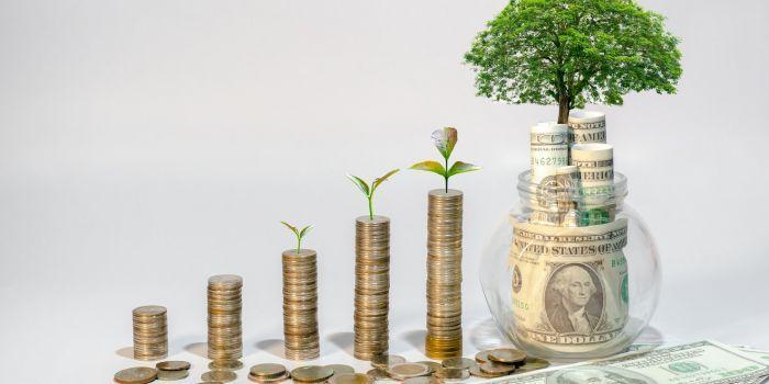 Bienestar Financiero