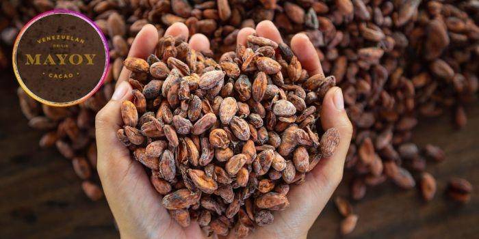 Mayoy Cacao – Bean to Bar & Coffee Spot