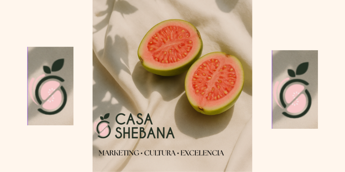 Casa Shebana Marketing – Marketing Latino y Estrategia de Marca en Londres