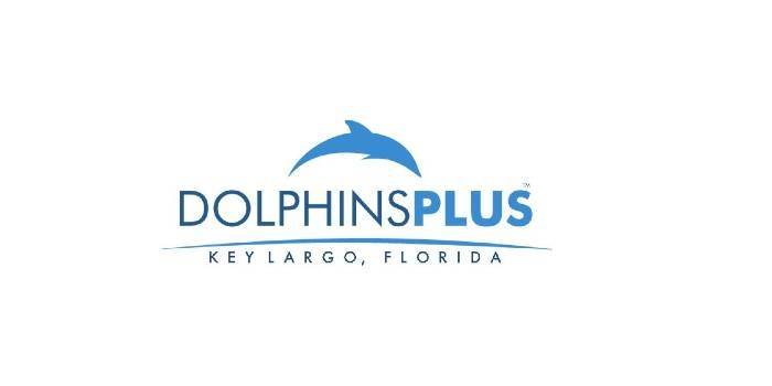 Dolphins Plus