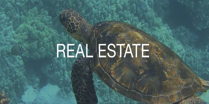 Joseph D. Pluta, Realtor-Broker
