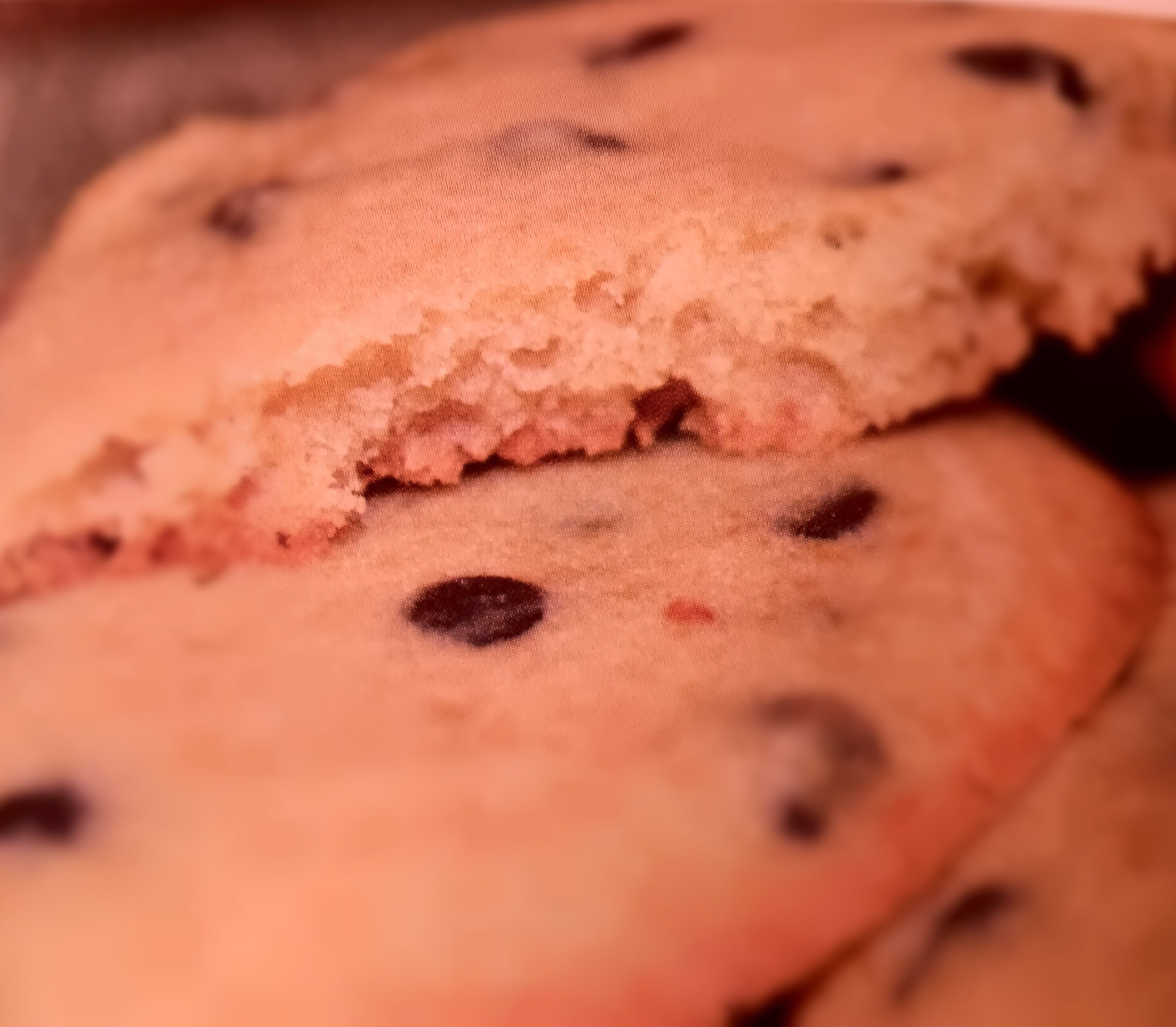 Chocolate Chip Cookies 🍪 