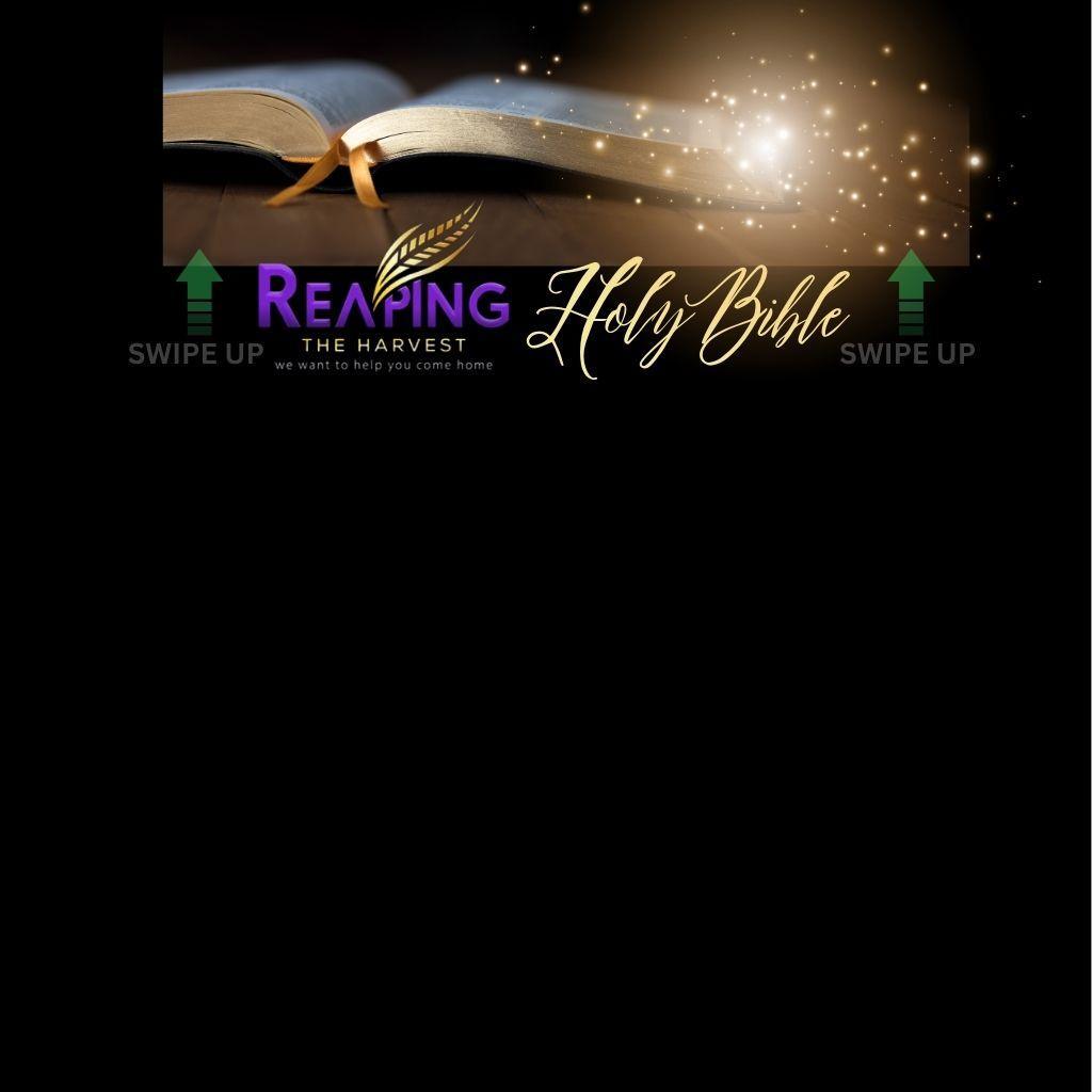 Holy Bible